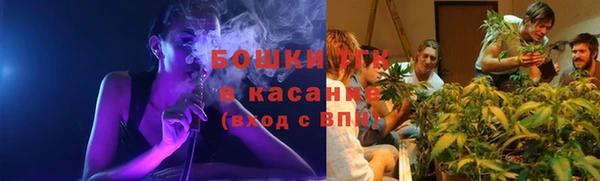 индика Алексеевка