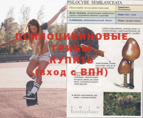 МДПВ Алексин