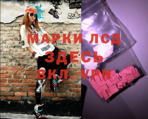 хмурый Алзамай