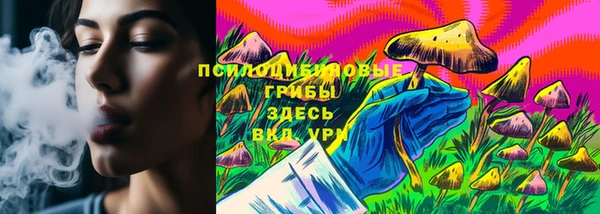 индика Алексеевка