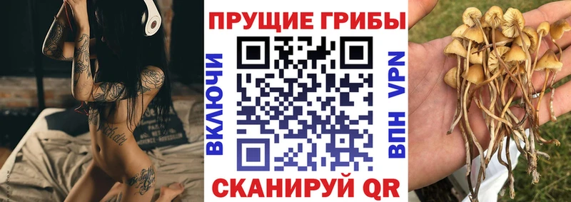 Галлюциногенные грибы Magic Shrooms  Безенчук 